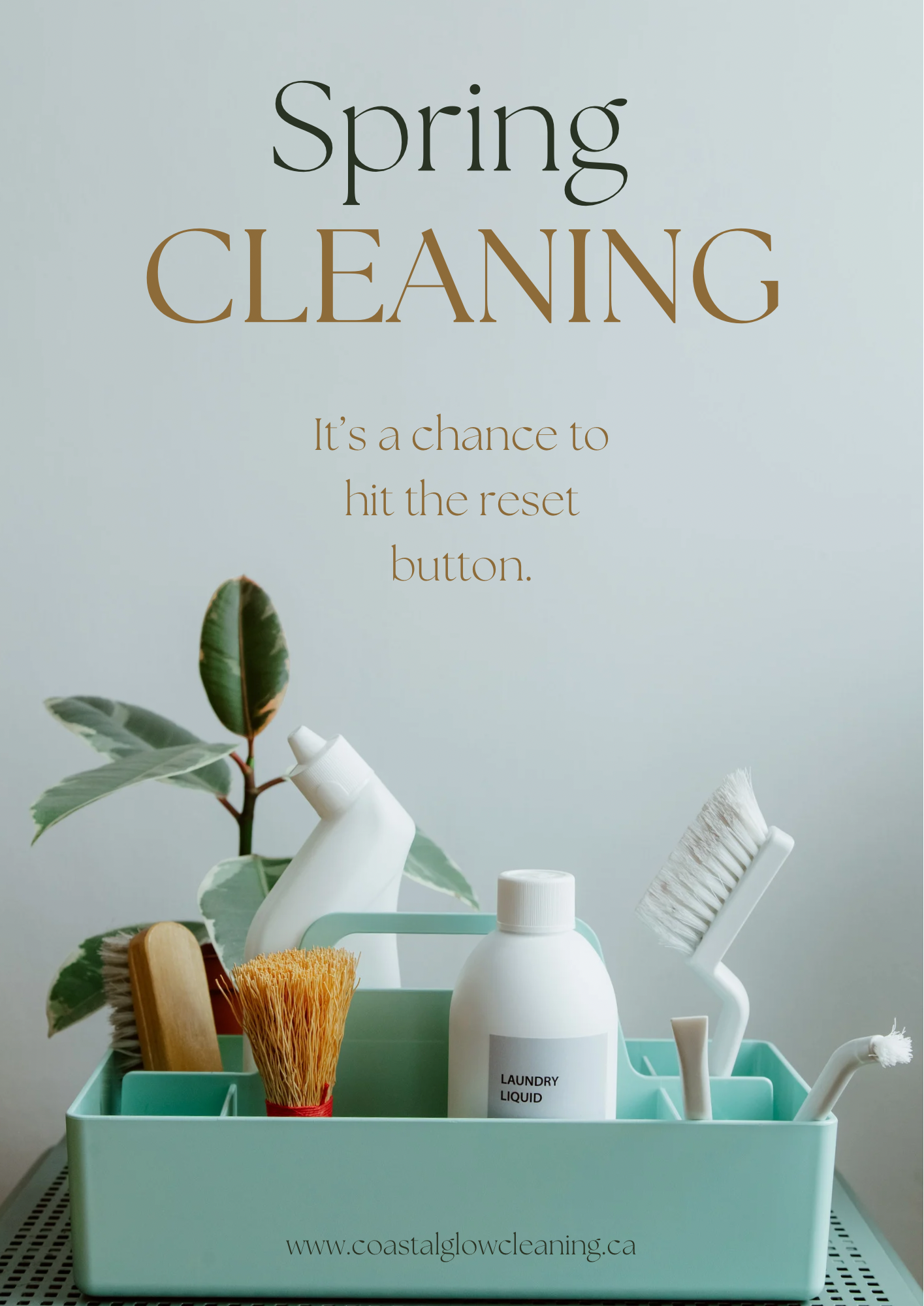 Spring Cleaning Christmas Cleaning Promo